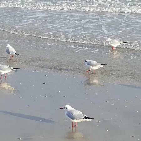 Kapitaenskoje דירה